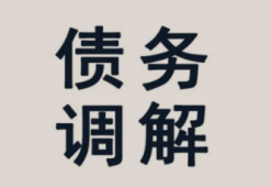 专业讨债公司服务